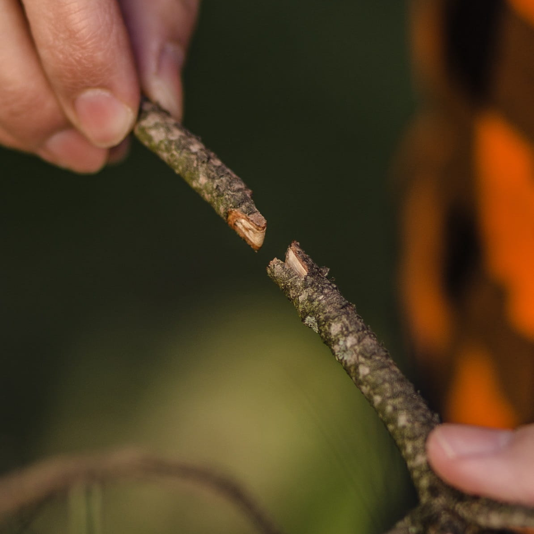 grafting-pruner-tool-5