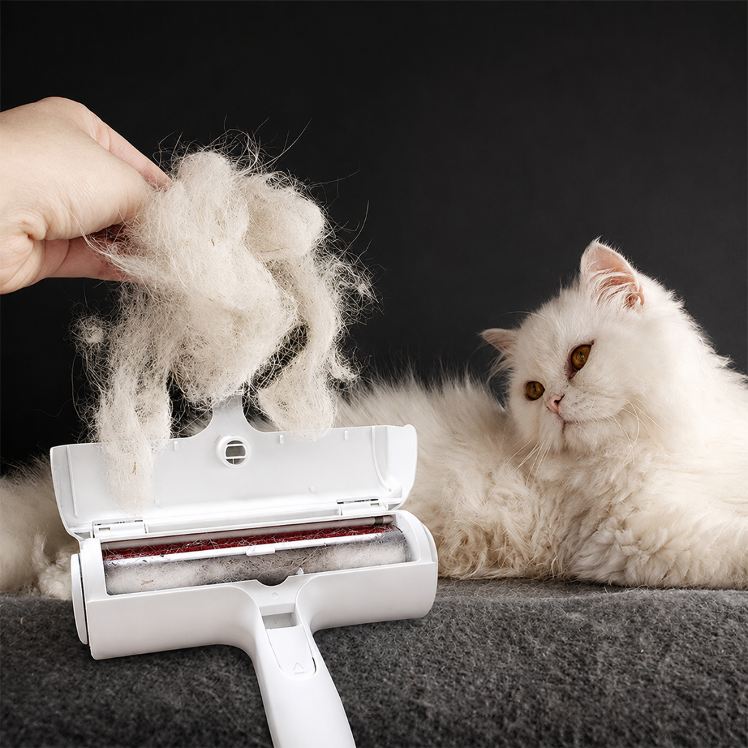 hair-brush (2)